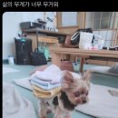 새벽