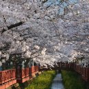 진해여자고등학교 이미지