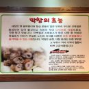태영전기 이미지