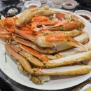 죽도회타운 | 포항 죽도시장 대게 맛집, 죽도회대게타운 박달대게세트