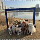 굿데이독 케어센터 | 미사애견호텔 굿데이독, 반려견 케어의 모든 것