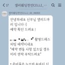 더웨딩샐리웨딩