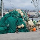 동원어구 이미지