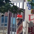 한성 싸인볼