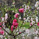 의료법인 큰나무의료재단 이미지