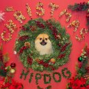 힙독 애견카페 이미지