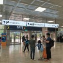 예그린카서비스 | 제주도 렌트카 &lt;제주공항렌트카&gt; 셀토스 이용후기