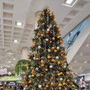 스테이 무림 이미지