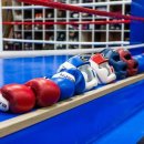 용인대SM복싱클럽 이미지