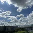 달그리고강 이미지