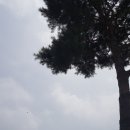 기산초등학교 앞 이미지