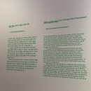 힐마 아프 클린트 적절한 소환 후기 ｜부산현대미술관 주차 전시 정보 부산 실내 가볼만한곳