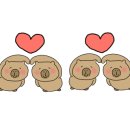 럭키팝(Lucky POP) 이미지