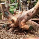 대박터진날 이미지