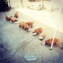 개판오분전 이미지