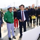 와룡지구 네이버블로그