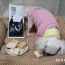 터치드바이뉴질랜드 이미지