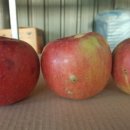 제천농협주유소 이미지