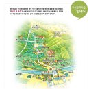 봉평메밀숲 이미지