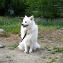 양정염포도서관 이미지