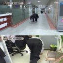 네발로갈때까지 이미지