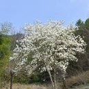 공곶이가는길 이미지