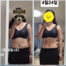 남양헬스케어 | [초지동pt] 6월달 바디프로필을 위해서 준비하시는 헬스 후기