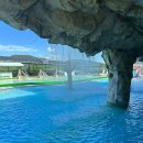 진양호캐리비안 이미지