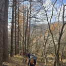 오대산 선재길 이미지