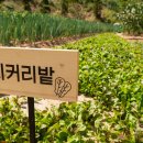 오션포레글램핑 이미지