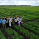 (주)미래생명그룹 이미지