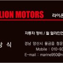 라이온모터스 이미지