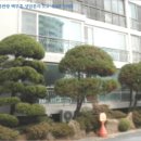 완월동218 이미지