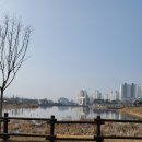 모산골 공원 이미지