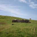 등머울 민박 이미지