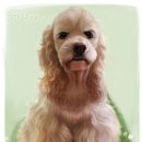 강아지그림 이미지