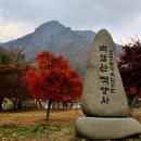 백양사 이미지