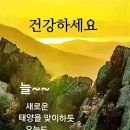 꽃피는하루