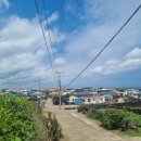 에버민박 이미지