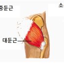 미녀와 야수짐 이미지