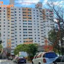 하단동1003 이미지