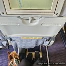 타쉬켄트(Tashkent) | 여자혼자 우즈베키스탄 여행::카녹샤크(QANOT SHARQ) 항공 이용 후기 (2)/타쉬켄트 공항 도착