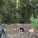 황금두꺼비민박 | 제천 포천 정선 울진 렛츠고