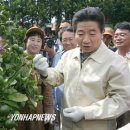 김동진농장 이미지