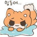 허냉면 이미지