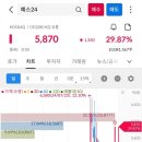 에스와이상사 이미지