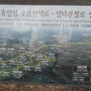 교래자연휴양림 이미지