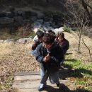 경상남도수목원전망대 이미지