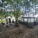 살롱 드 방동 이미지