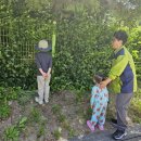 봉오초등학교병설유치원 이미지